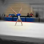 DSC_1597.jpg