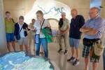 DSC05331_DxO.jpg